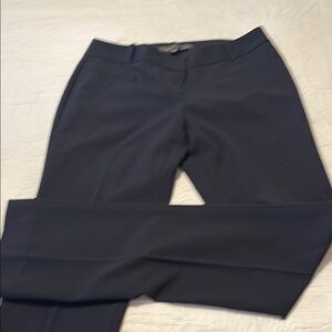 The Limited Blue Trousers with Flat-Front Design